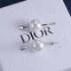 Dior Earrings