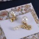 Dior Earrings