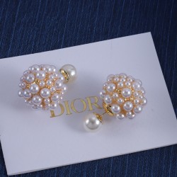 Dior Earrings