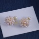 Dior Earrings