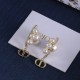 Dior Earrings