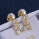Dior Earrings