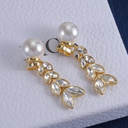 Dior Earrings