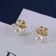 Dior Earrings