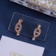 Dior Earrings