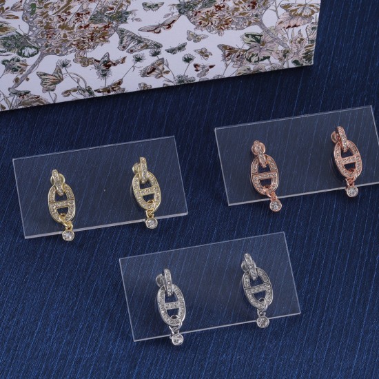 Dior Earrings