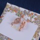 Dior Earrings