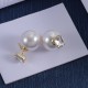 Dior Earrings