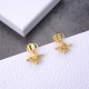 Dior Earrings