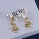 Dior Earrings