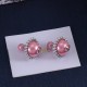 Dior Earrings