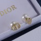 Dior Earrings