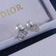 Dior Earrings