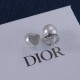 Dior Earrings