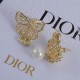 Dior Earrings