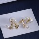 Dior Earrings
