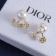 Dior Earrings