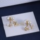 Dior Earrings