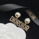 Dior Earrings