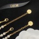 Dior Earrings