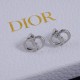 Dior Earrings
