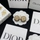 Dior Earrings