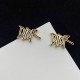 Dior Earrings