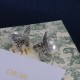 Dior Earrings