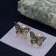 Dior Earrings