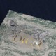 Dior Earrings