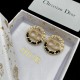 Dior Earrings