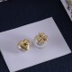 Dior Earrings
