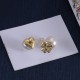 Dior Earrings