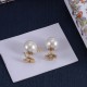 Dior Earrings