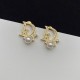 Dior Earrings