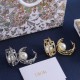 Dior Earrings