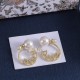 Dior Earrings