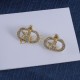 Dior Earrings
