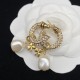 Dior Earrings