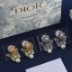 Dior Earrings
