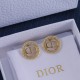 Dior Earrings