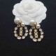 Dior Earrings