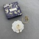 Dior Earrings