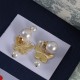 Dior Earrings