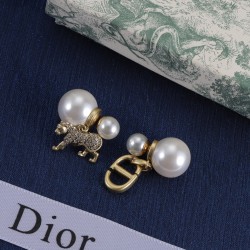 Dior Earrings