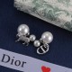 Dior Earrings