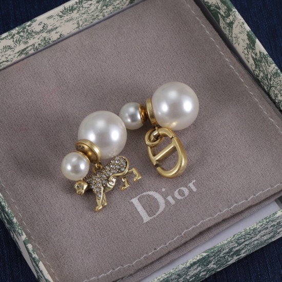 Dior Earrings