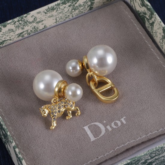 Dior Earrings