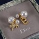 Dior Earrings