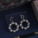 Dior Earrings